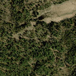 Satellite imagery of Collins Hill, CA