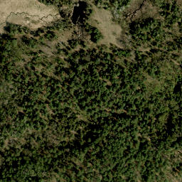 Satellite imagery of Collins Hill, CA