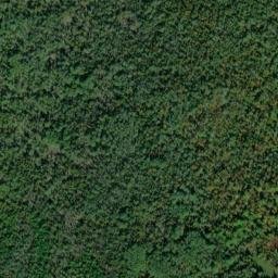 Satellite imagery of Black Point, US