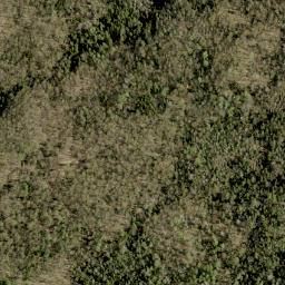 Satellite imagery of Oak Mountain, CA