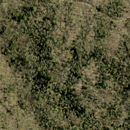 Satellite imagery of Lamberts Mountain, CA
