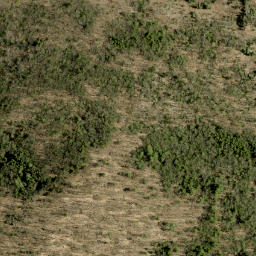 Satellite imagery of Roddens Hill, CA