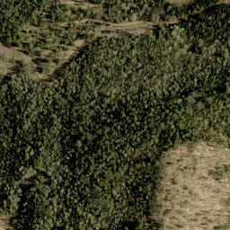 Satellite imagery of Roddens Hill, CA