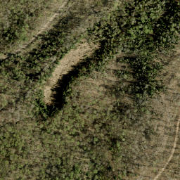 Satellite imagery of Jims Mountain, CA