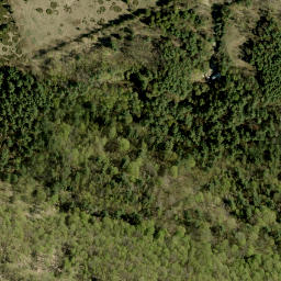 Satellite imagery of Maloneys Mountain, CA
