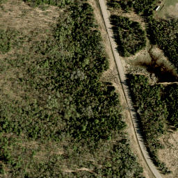 Satellite imagery of Roddens Hill, CA