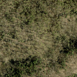 Satellite imagery of Jims Mountain, CA