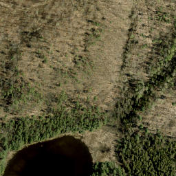Satellite imagery of Jims Mountain, CA