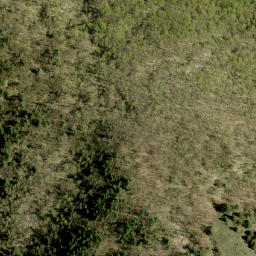 Satellite imagery of Maloneys Mountain, CA