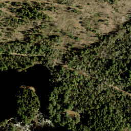 Satellite imagery of Roddens Hill, CA