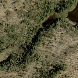 Satellite imagery of Jims Mountain, CA