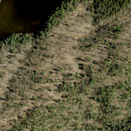 Satellite imagery of Jims Mountain, CA