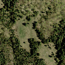 Satellite imagery of Maloneys Mountain, CA