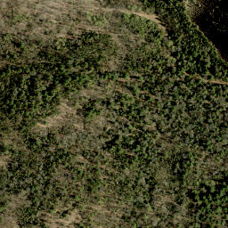 Satellite imagery of Guineys Hill, CA