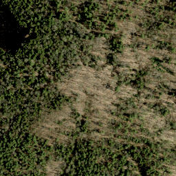 Satellite imagery of Guineys Hill, CA