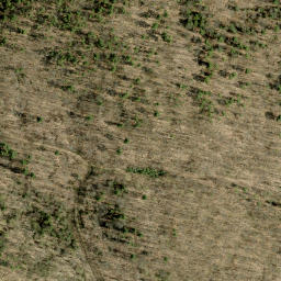 Satellite imagery of Guineys Hill, CA
