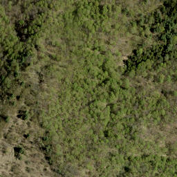 Satellite imagery of Kennellys Mountain, CA
