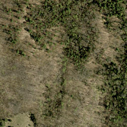Satellite imagery of Guineys Hill, CA