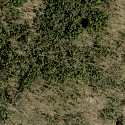 Satellite imagery of Guineys Hill, CA