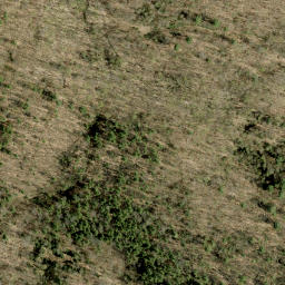 Satellite imagery of Guineys Hill, CA