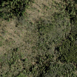 Satellite imagery of Graham Mountain, CA