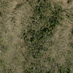 Satellite imagery of Guineys Hill, CA