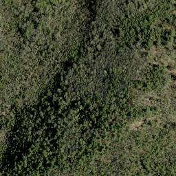 Satellite imagery of Graham Mountain, CA