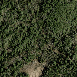 Satellite imagery of Graham Mountain, CA