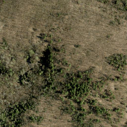 Satellite imagery of Craigmont Hill, CA