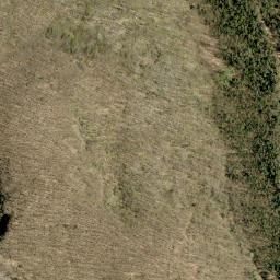 Satellite imagery of Craigmont Hill, CA