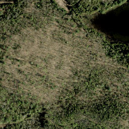 Satellite imagery of Wadsworth Mountain, CA