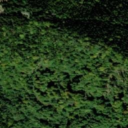 Satellite imagery of Trif, RO