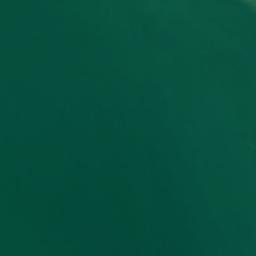 Satellite imagery of Birch Tree Point, US