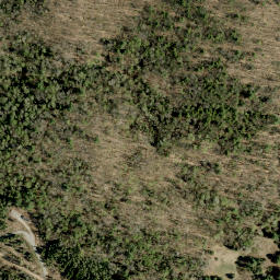 Satellite imagery of Craigmont Hill, CA