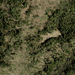 Satellite imagery of Budarick Hill, CA