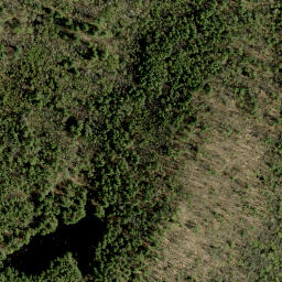 Satellite imagery of The Notch, CA