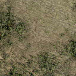 Satellite imagery of Wadsworth Mountain, CA