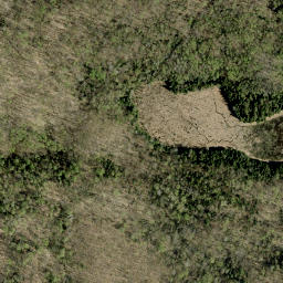 Satellite imagery of Wadsworth Mountain, CA