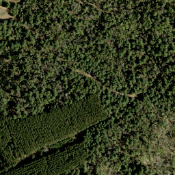 Satellite imagery of Craigmont Hill, CA