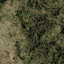 Satellite imagery of Budarick Hill, CA
