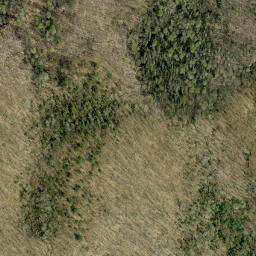 Satellite imagery of Wadsworth Mountain, CA