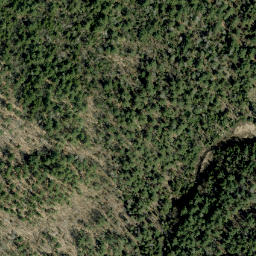Satellite imagery of McGee's Mountain, CA