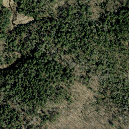 Satellite imagery of McGee's Mountain, CA