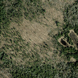 Satellite imagery of McGee's Mountain, CA