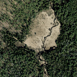 Satellite imagery of McGee's Mountain, CA
