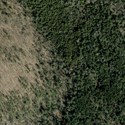 Satellite imagery of McGee's Mountain, CA