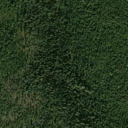 Satellite imagery of Jackass Ridge, US