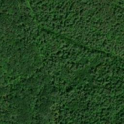 Satellite imagery of Belot Mountain, CA