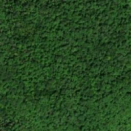 Satellite imagery of McManus Mountain, CA