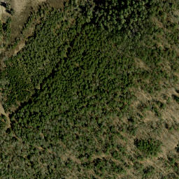 Satellite imagery of Mahon Mountain, CA